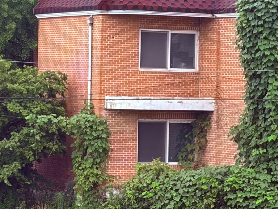 담벼락