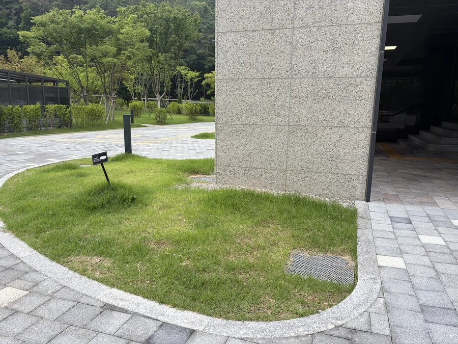 담벼락