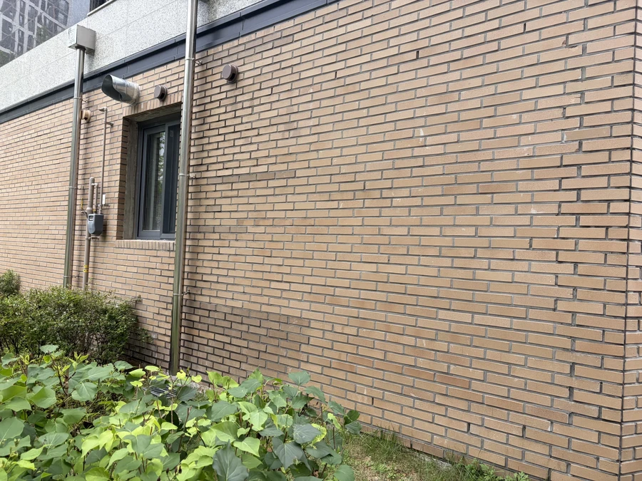 담벼락