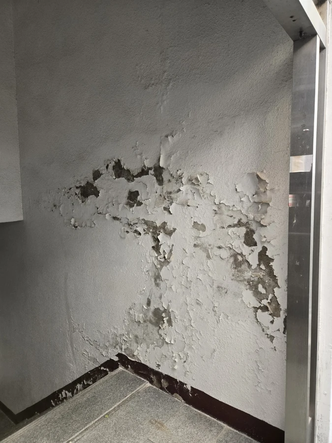 페인트