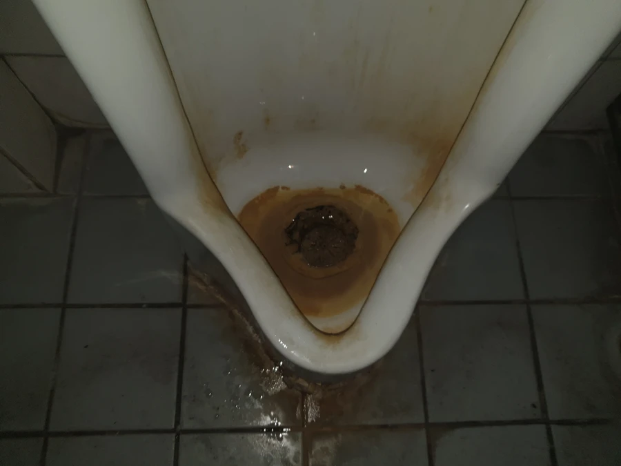 변기 점검 참고 사진, 배수구 주변에 낀 물때
