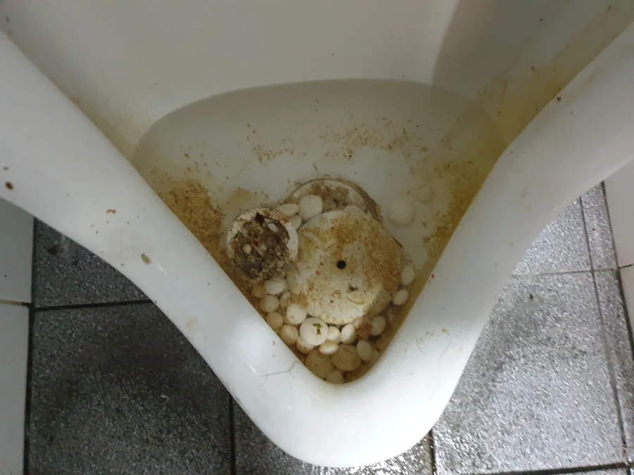 변기이물질제거 현장, 배수구에 낀 이물질