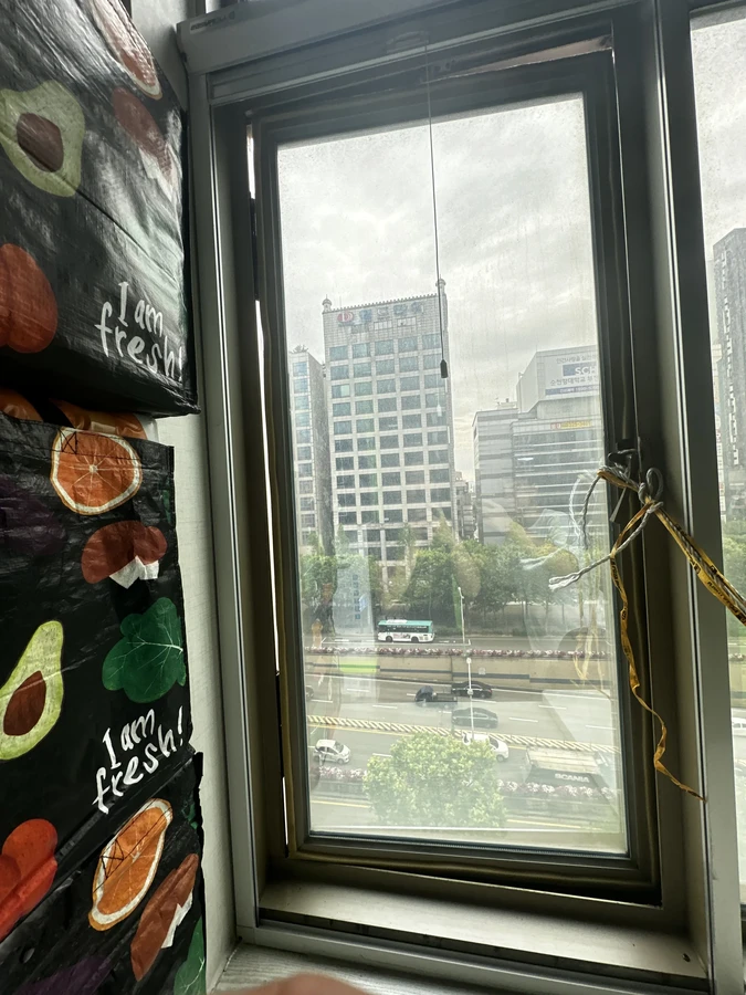 캐시먼트 창문