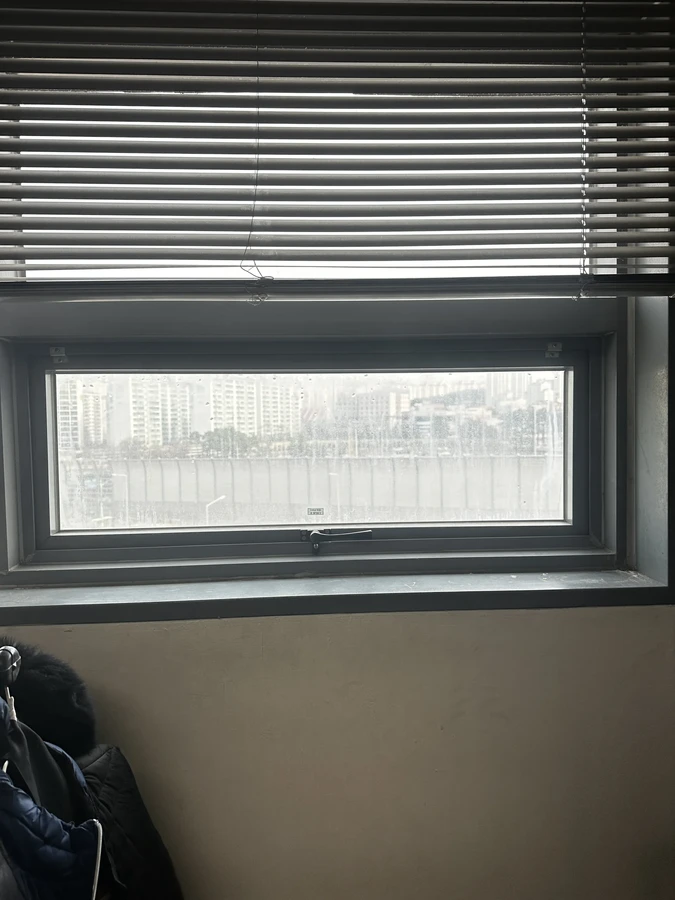 프로젝트 창문