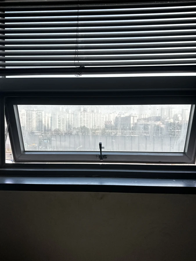 프로젝트 창문