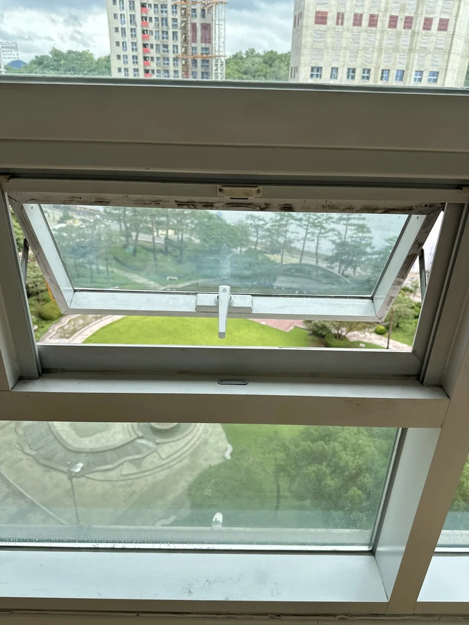 프로젝트 창문