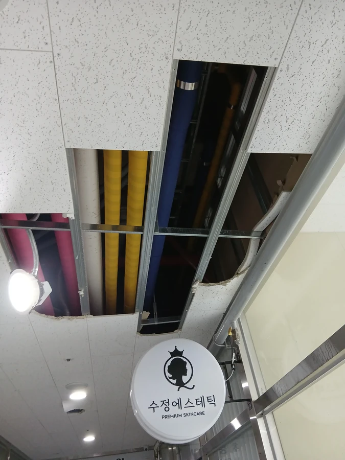 텍스