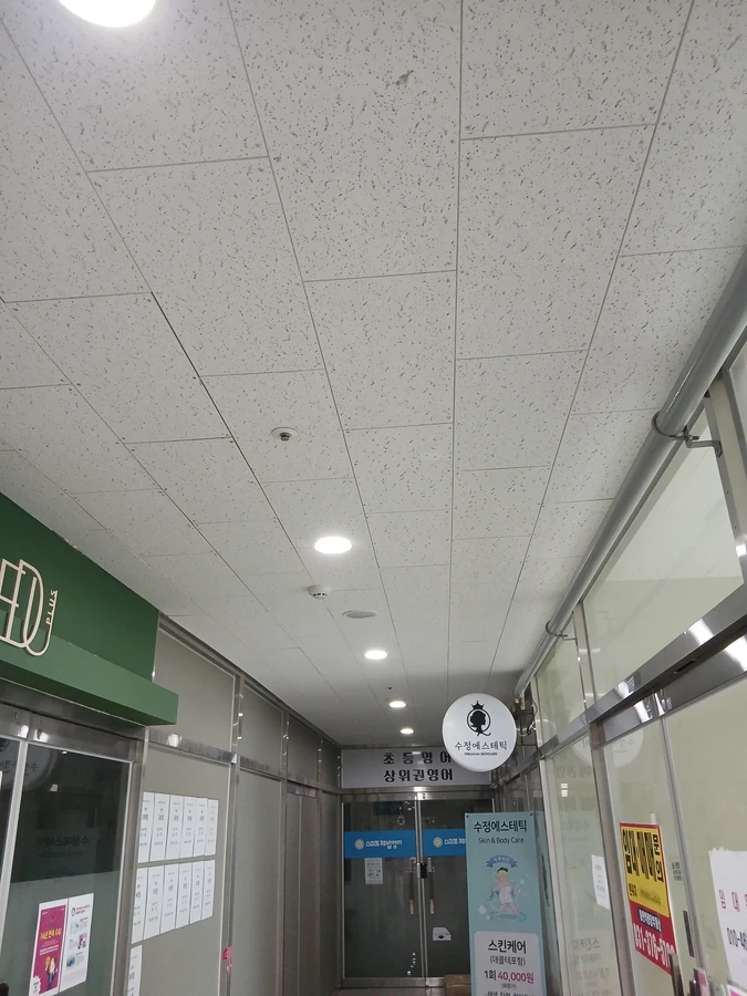 텍스