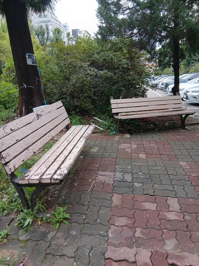 나무의자