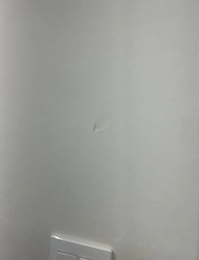 석고