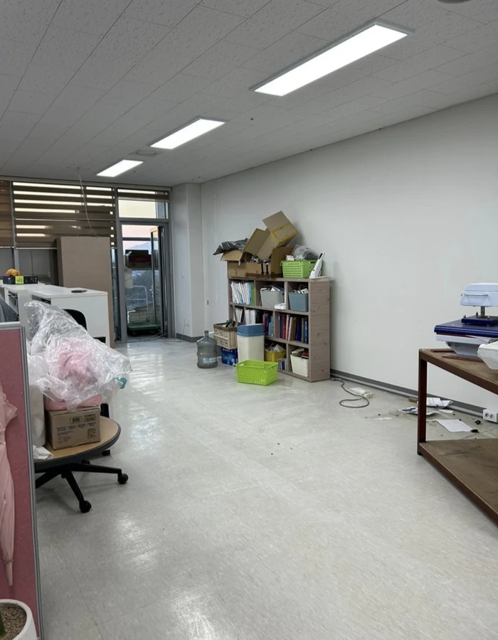 석고