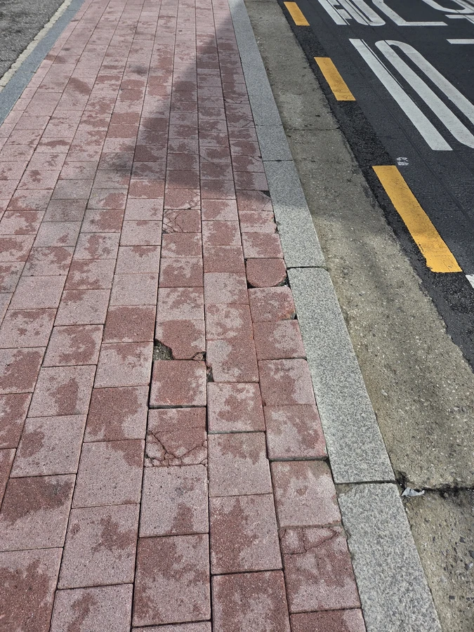 보도블럭