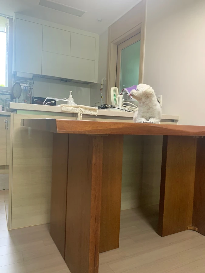 가구수리