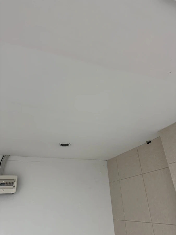 페인트