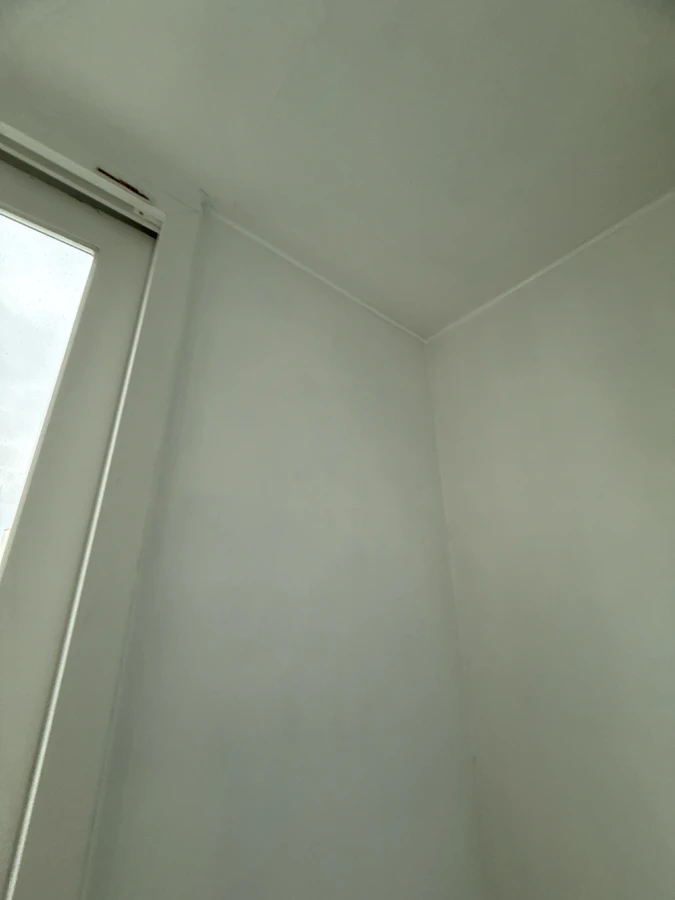 페인트