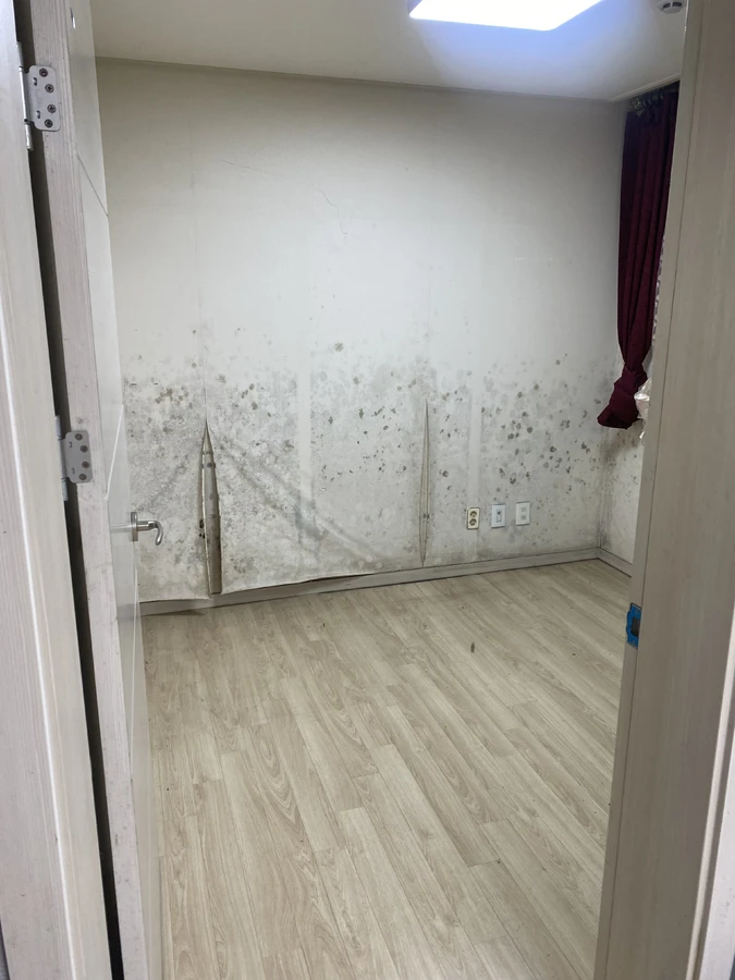 곰팡이 벽지 재도배 작업 사진 13
