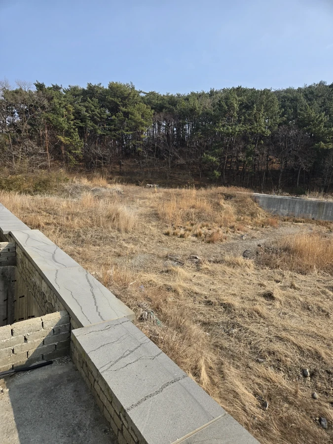 석재 마감 난간 뒤로 마른 풀 부지와 소나무 숲이 이어지는 모습
