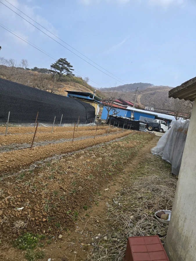 밭 사이로 난 흙길과 멀리 보이는 비닐하우스·주택 쪽으로 이어지는 진입 경로