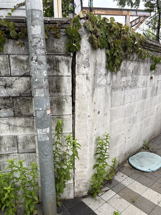 담장공사