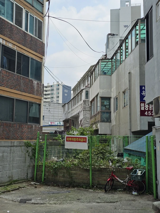 벌목나무전지