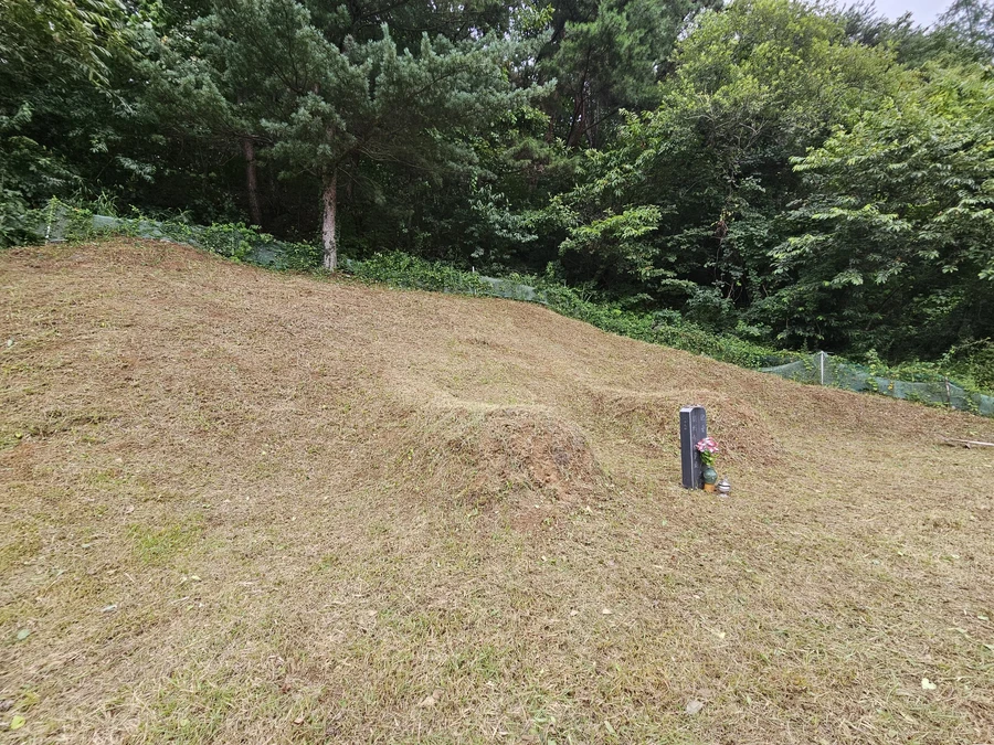 벌초