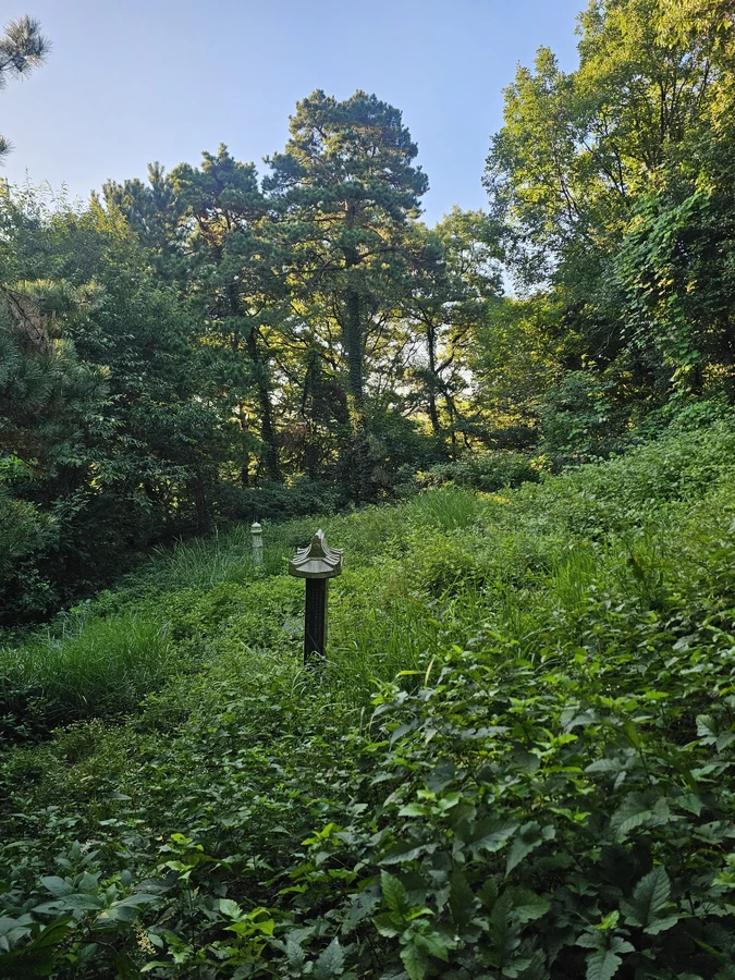 벌초