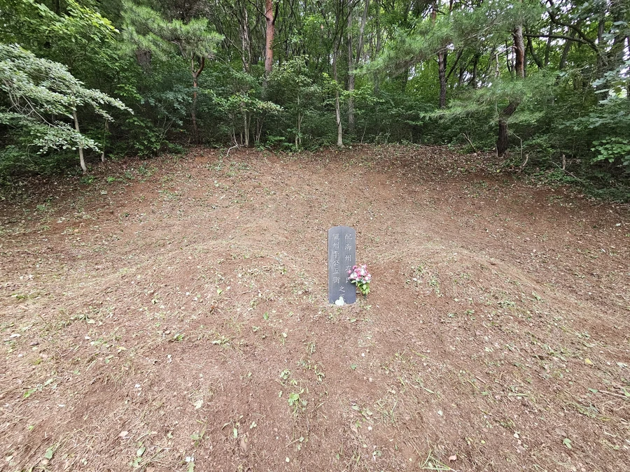 벌초