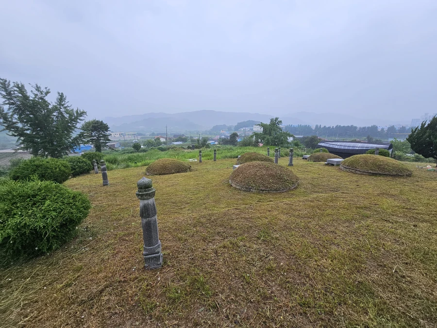벌초
