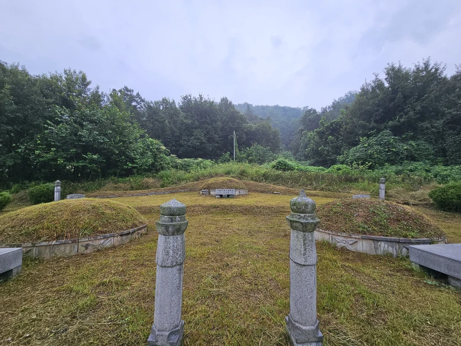벌초