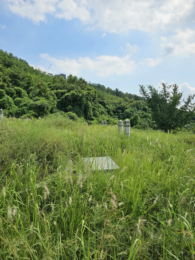 벌초