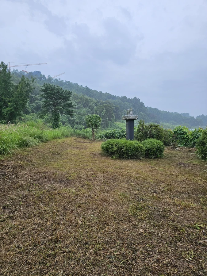벌초