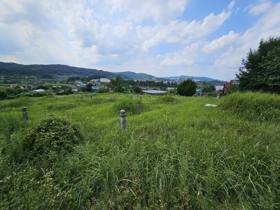 벌초