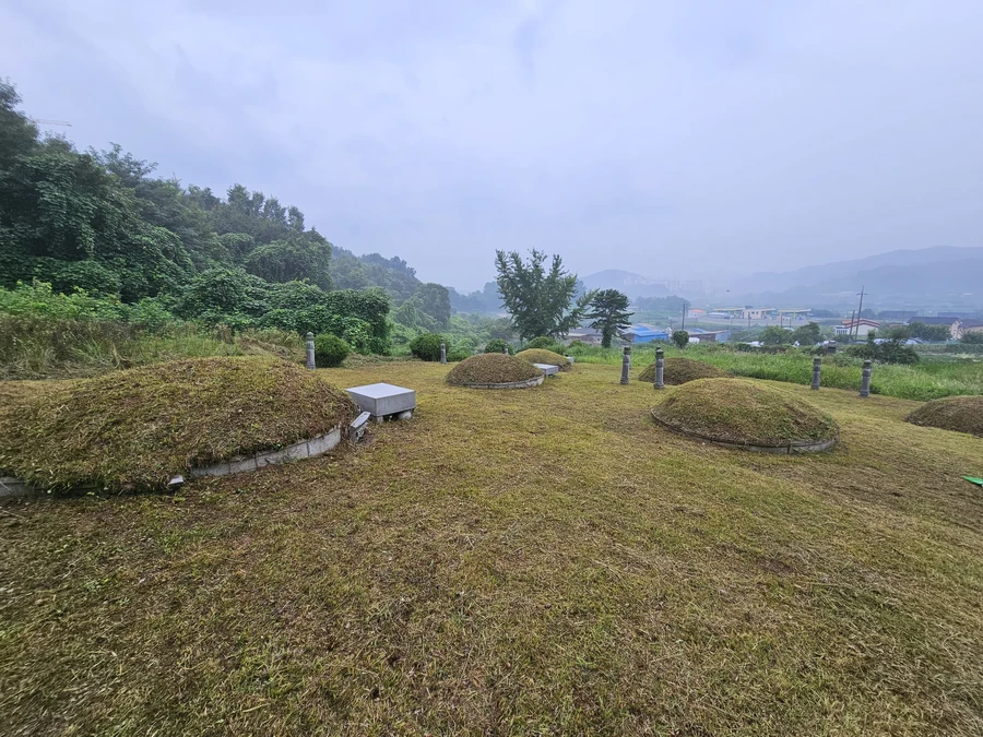 벌초