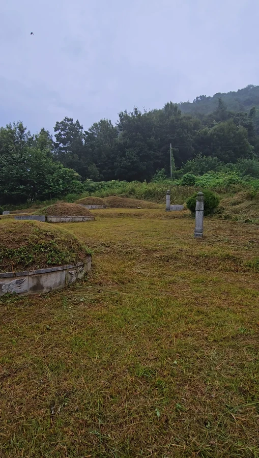 벌초