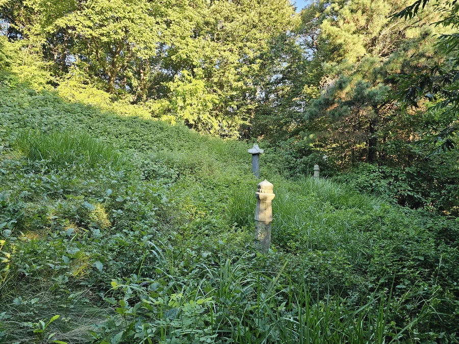 벌초