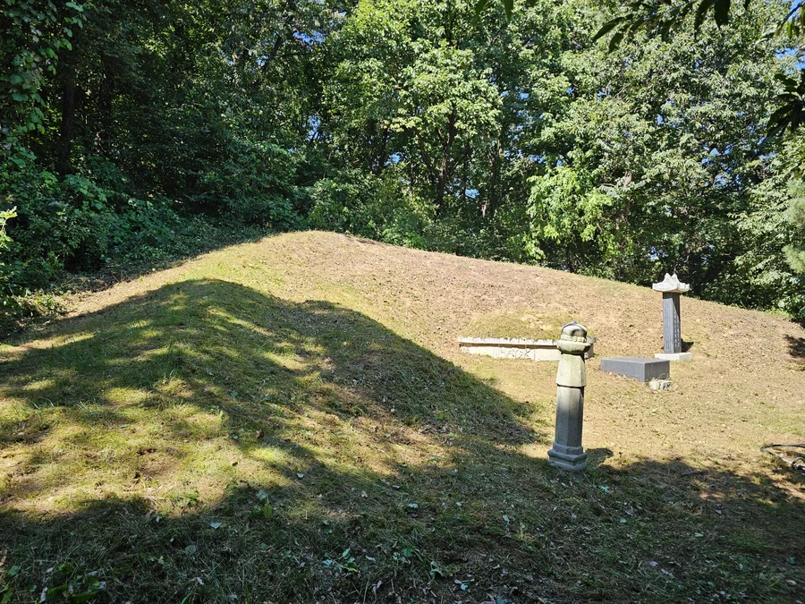 벌초