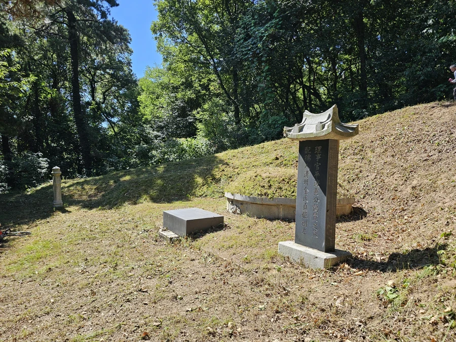 벌초