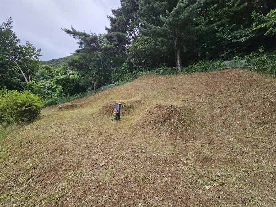 벌초
