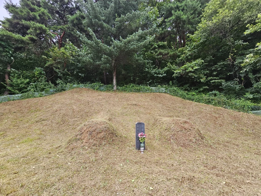 벌초