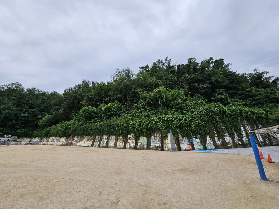 벌목나무전지