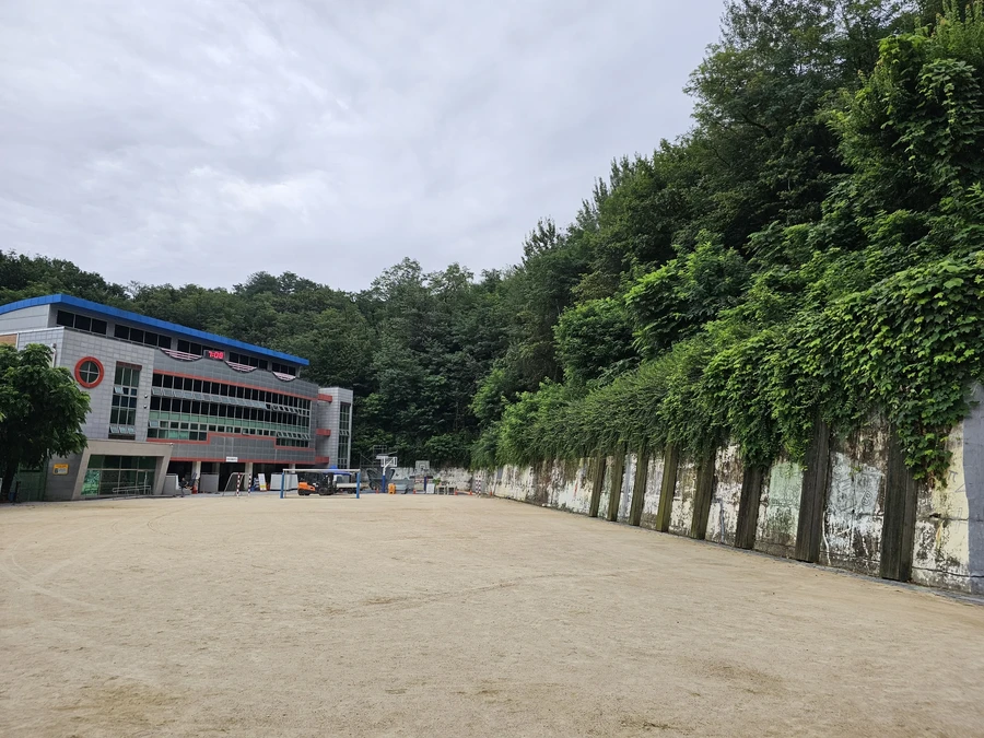 벌목나무전지