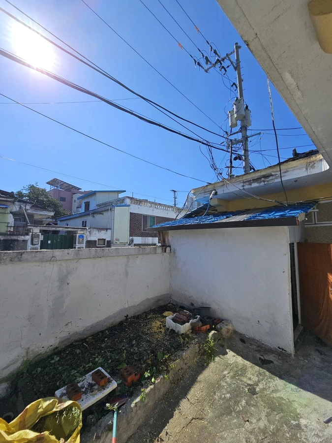 벌목나무전지