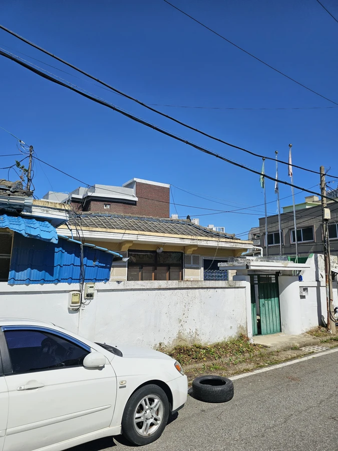 벌목나무전지