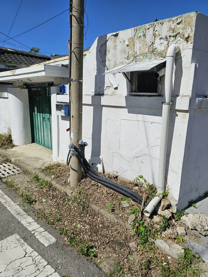 벌목나무전지