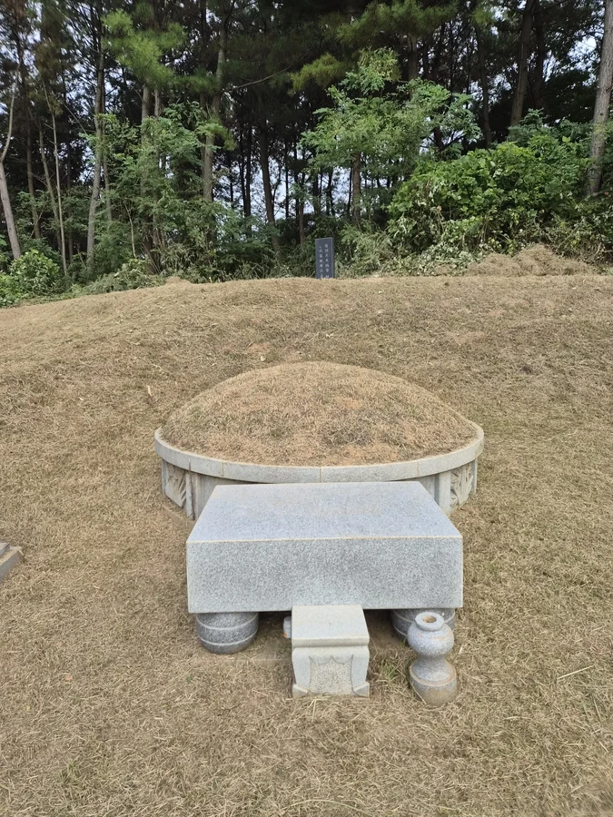 벌초