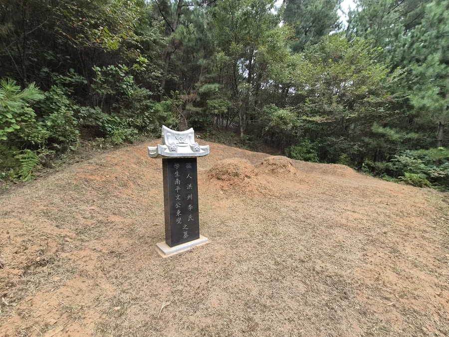 벌초