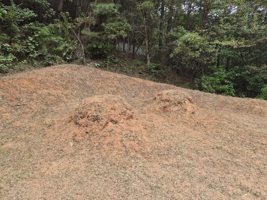 벌초