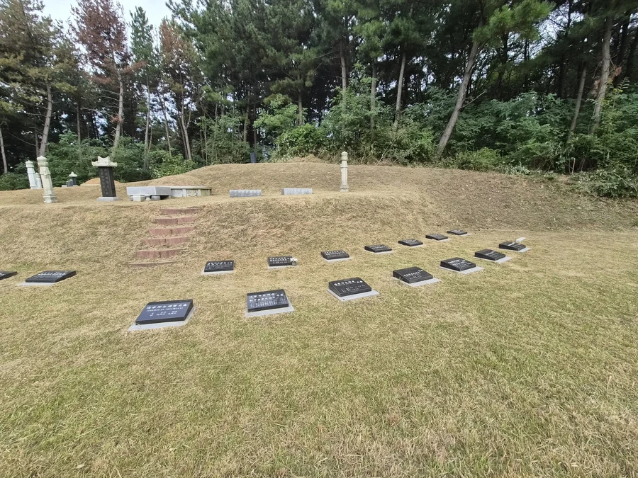 벌초