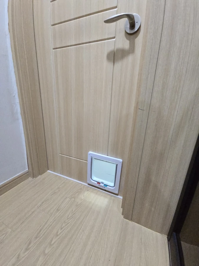 기타