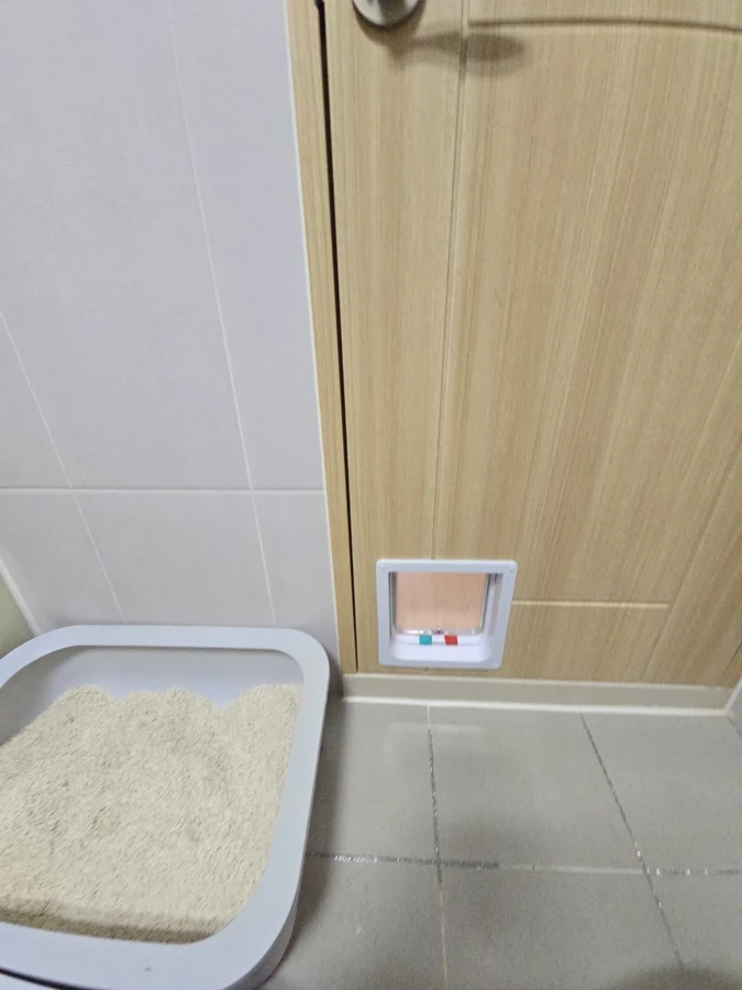 기타